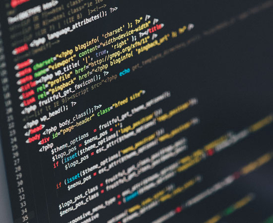 Web Development Services